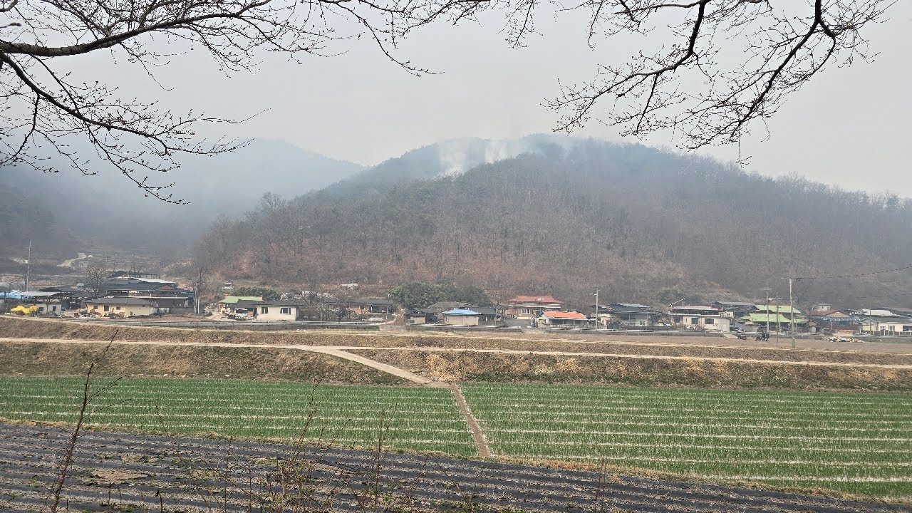 27일 의성산불 신평면 안사면 현재상황입니다 교안2리 교안1리 상황입니다 저희 묘소도 다 탔습니다ㅜ