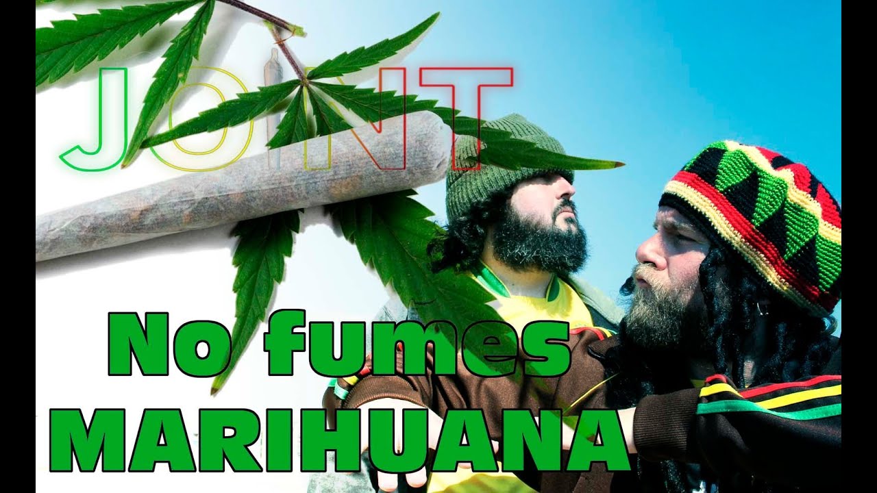 JOINT- NO FUMES MARIHUANA