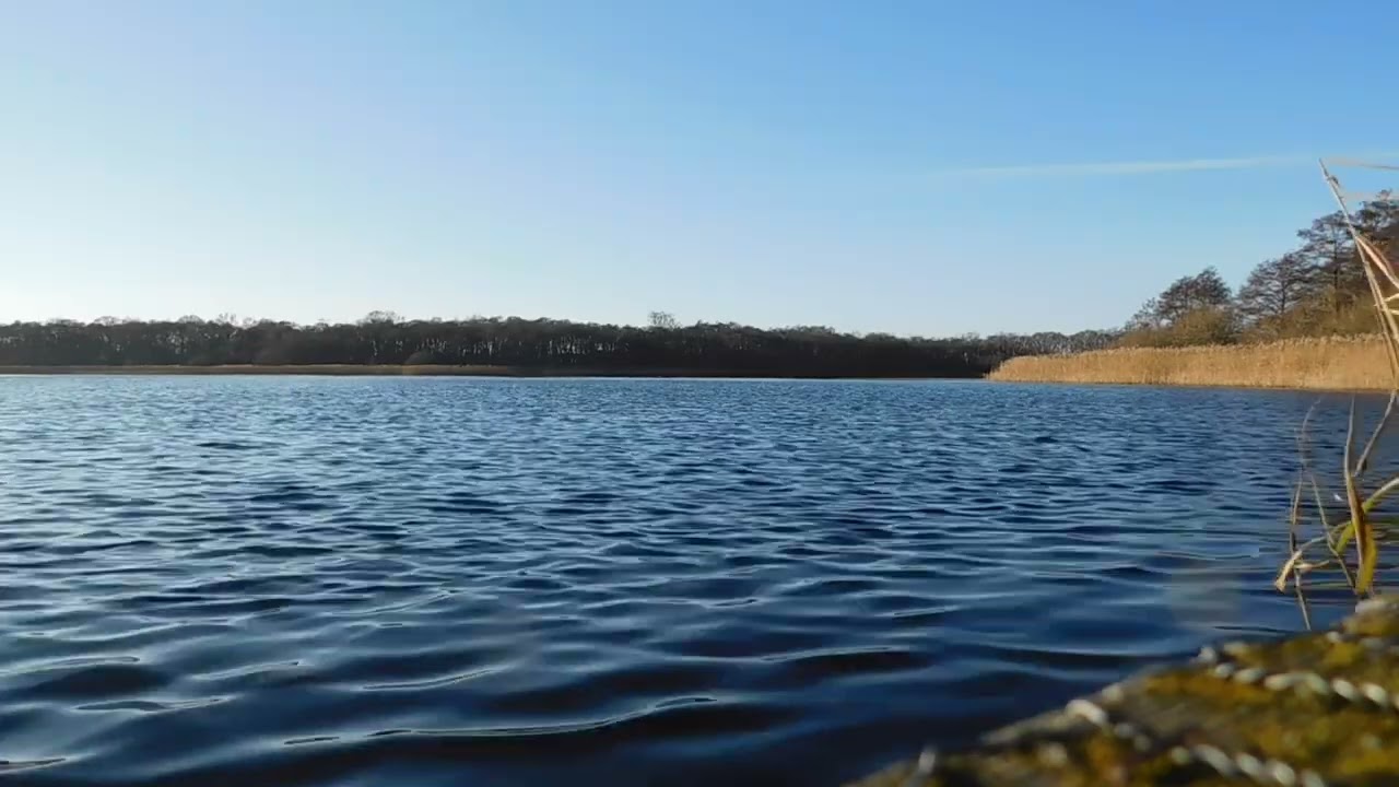 Rollesby Broad #england #january #2022