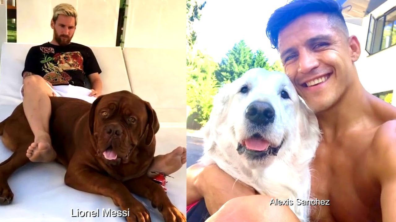 FUTBOLCULAR VE DÜNYALAR TATLISI EVCİL HAYVANLARI !