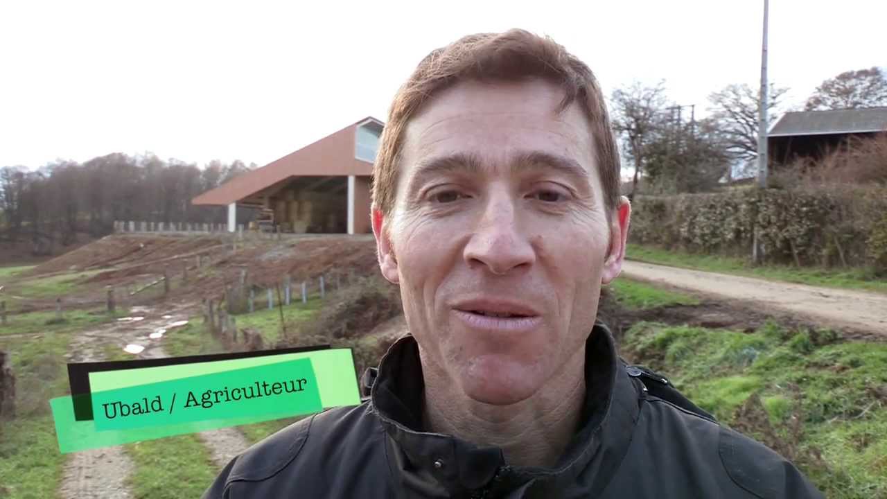 L'Elevage Ovin en Limousin