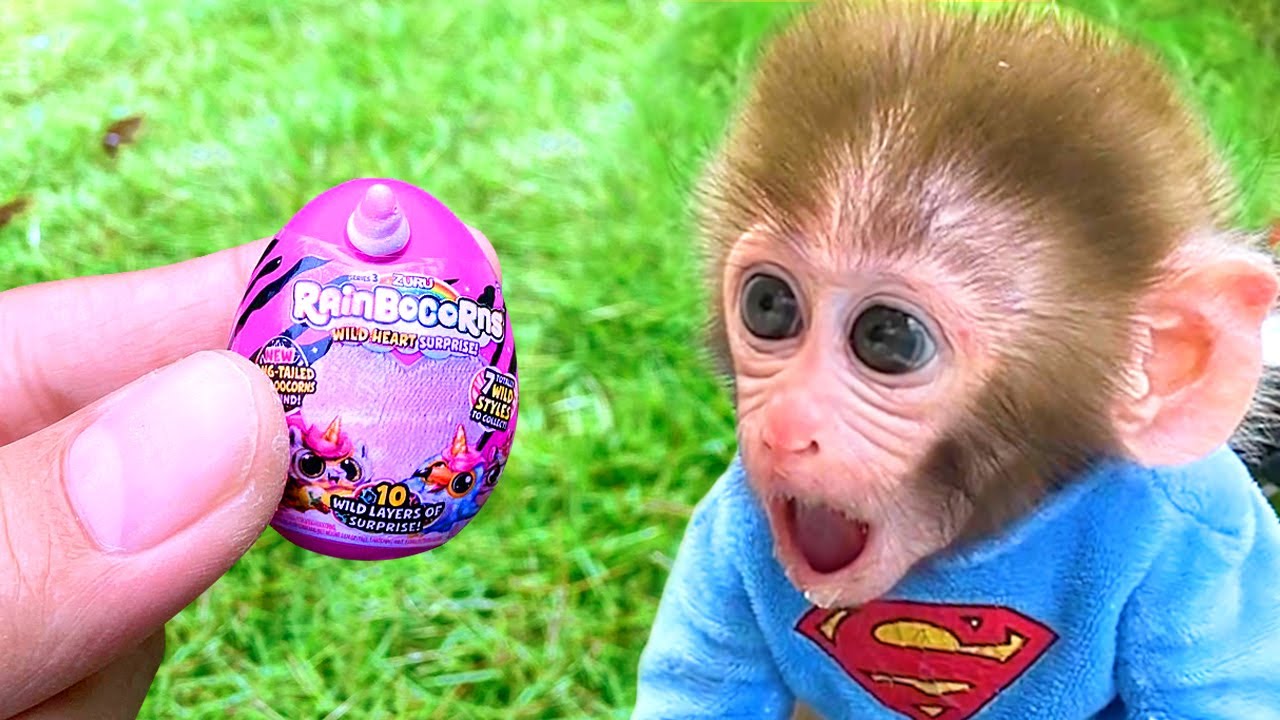 Bebé Mono BonBon come plátano en el parque y hace gelatina arcoíris - MONO BONBON ESP