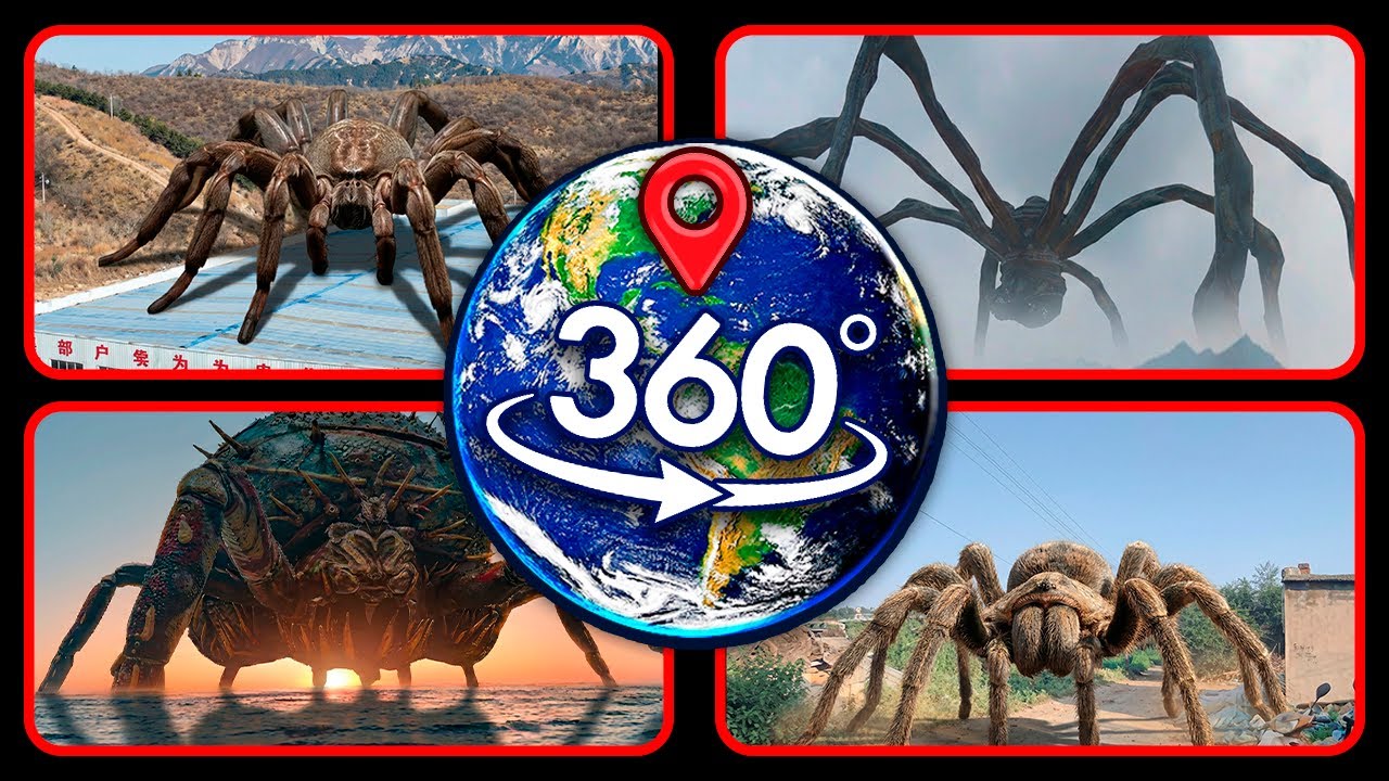 VR 360° - Top 4: Scary Giant Spiders Found on Google Earth!