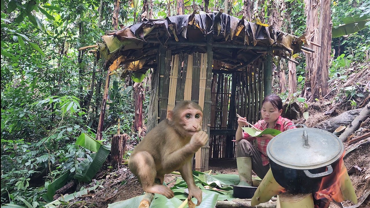 The girl and the little monkey chose to live in the forest, isolated from the outside world.