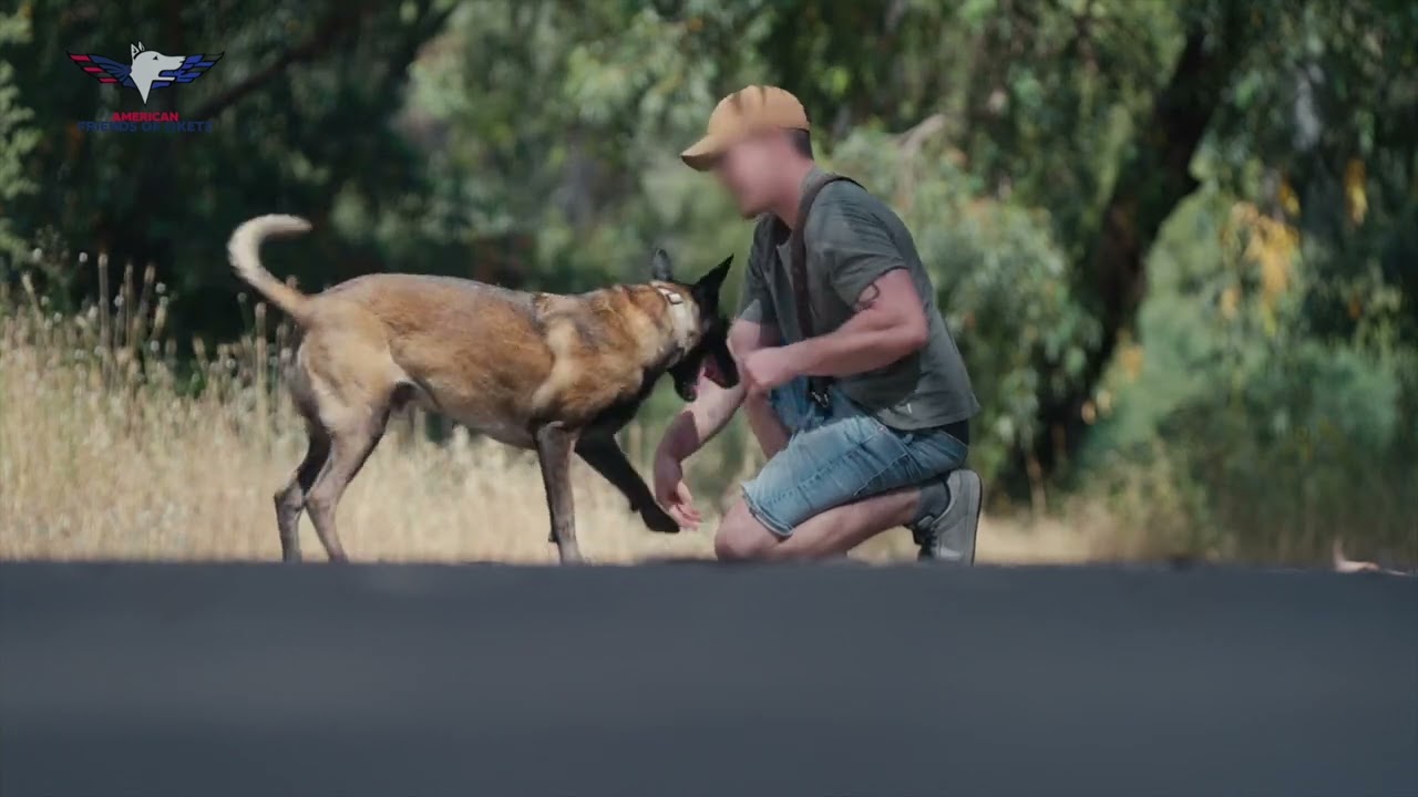 AFO Alpha: Standing with Israel’s K9 Heroes - In Battle and Beyond