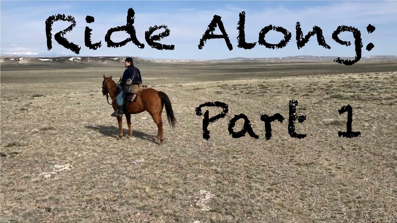 Cavalry Ride Along- Part 1: Skills