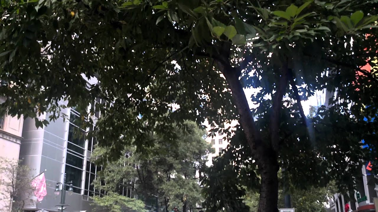 Motorola Atrix 2 1080p HD Video Sample