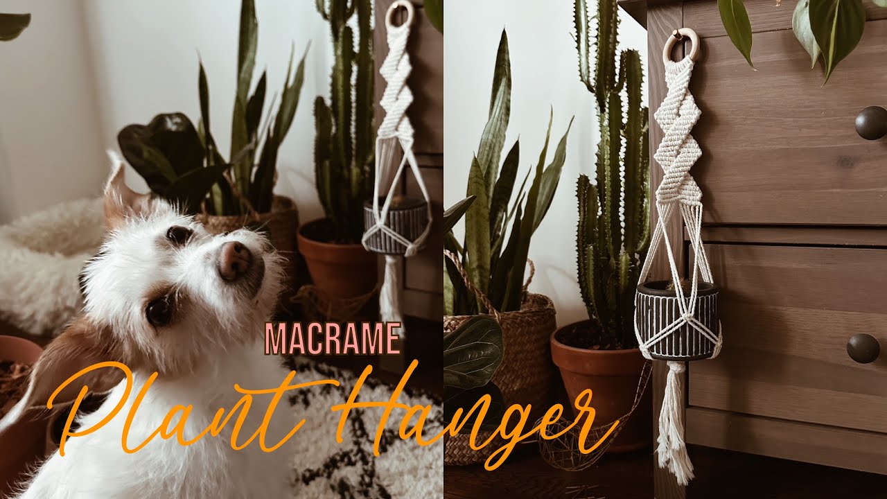 DIY: Macrame PLANT HANGER 