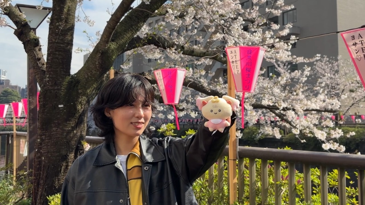 32歳独身女のリアルな休日【ぬい活と推し活】