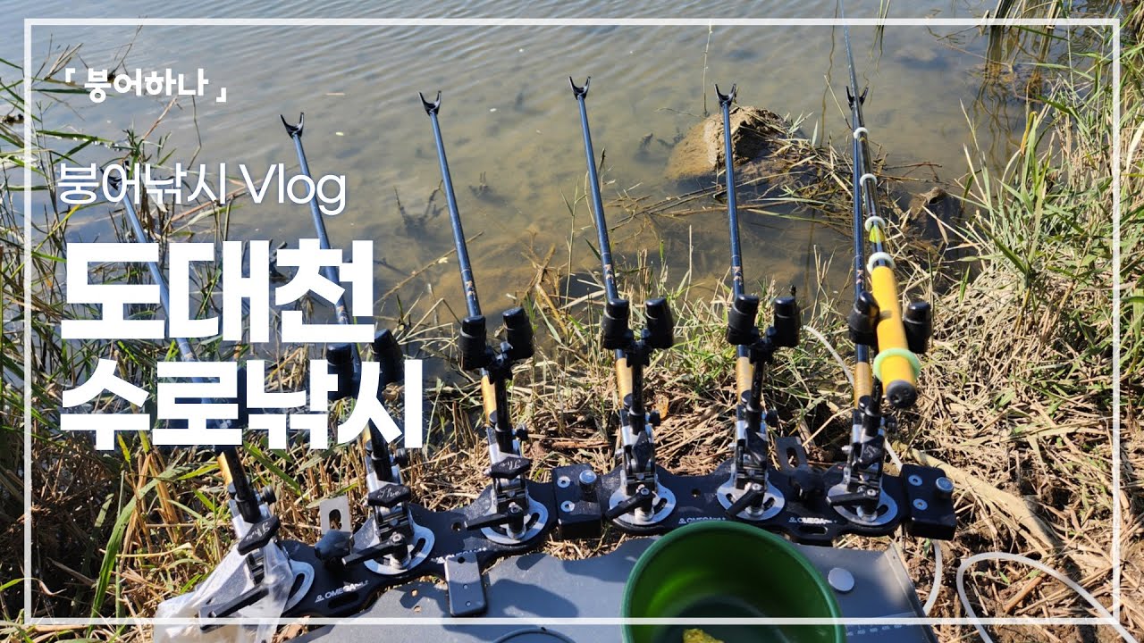 홍원리수로를 돌아 도대천 포인트로, 맑은 물색과 50cm이상 배수로 바람만 쐬고 왔습니다.