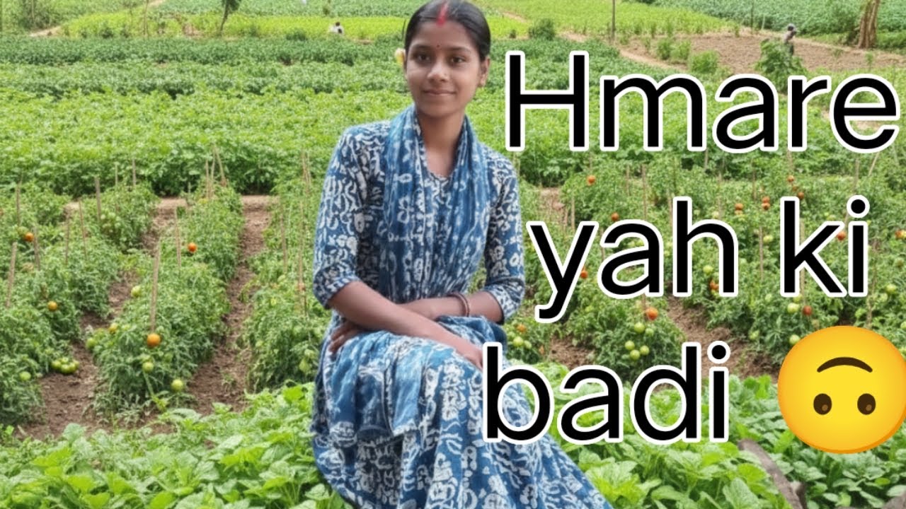 Hamare Ghar ki khet our badi kitna sundar hai 😘😘😁