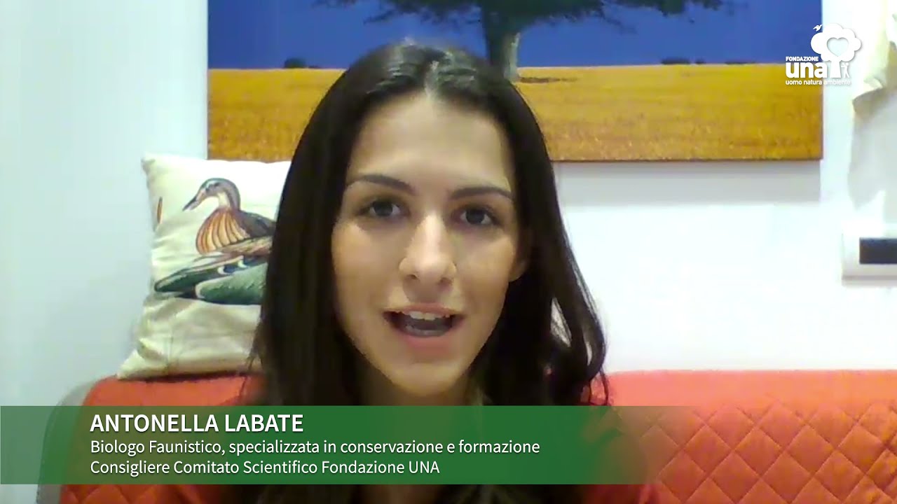Antonella Labate