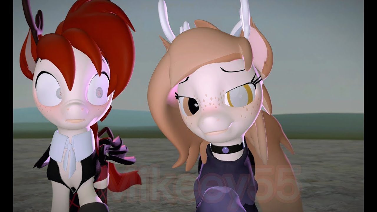 [MLP] [SFM] Traag // +16