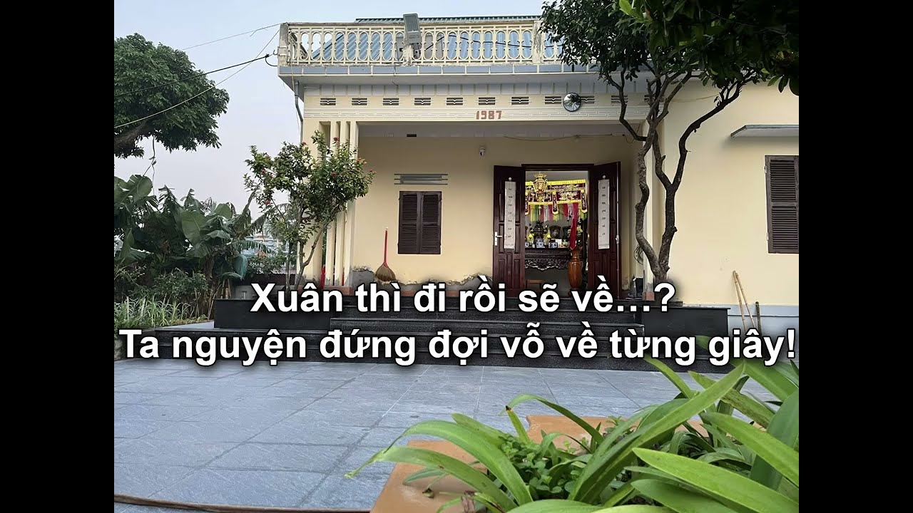 Tích Xuân  | vntruongson - Vũ Thanh Bình