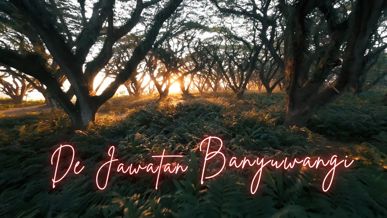 Negeri Dongeng De Jawatan Banyuwangi 😍😍 Ternyata seperti ini..
