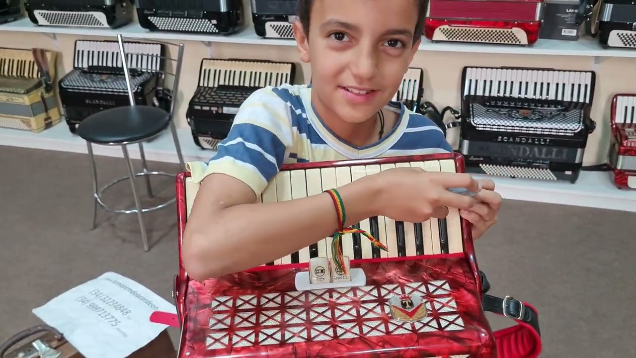 (VENDIDA) Acordeon 48 Baixos Todeschini Impecável