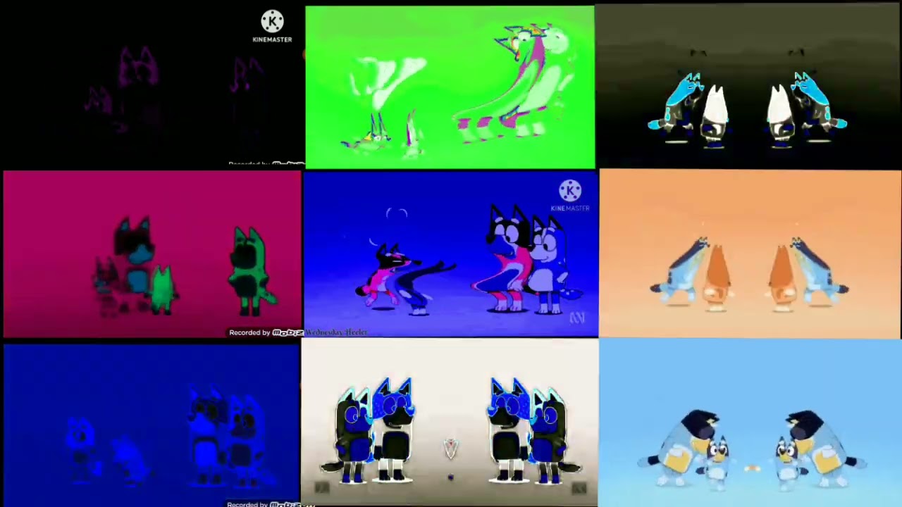 9 Bingo Intro's 3
