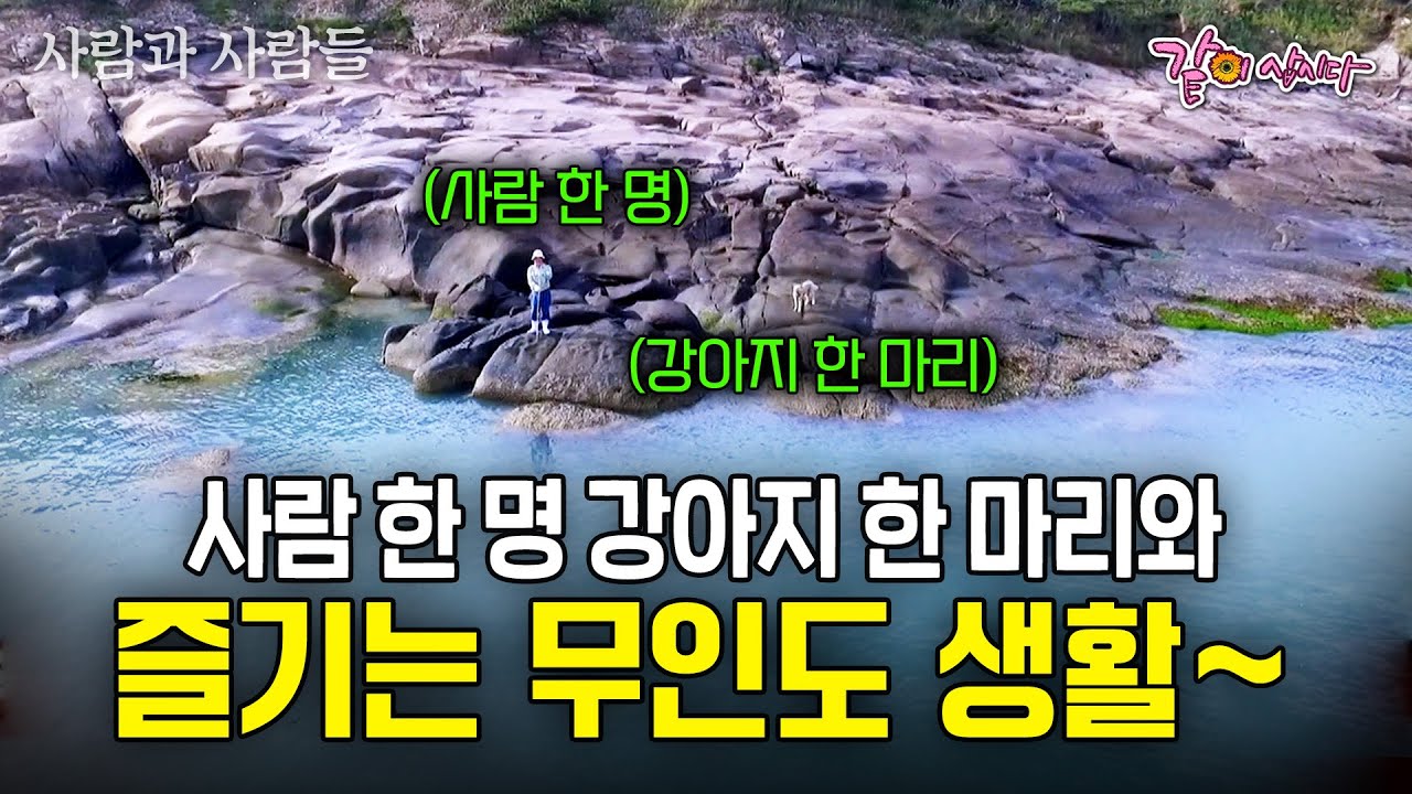 인구가 단 한명인 작은 무인도에는🏝️ 교직생활 은퇴 후 10년간 강아지 한마리와 살고 있는 할아버지가 있다.  | KBS 2016.06.08