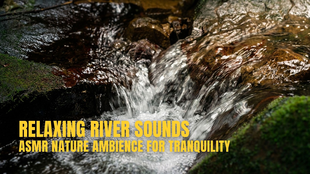 Calm Forest Stream at the Spring Source | Sleep & Meditation Sounds