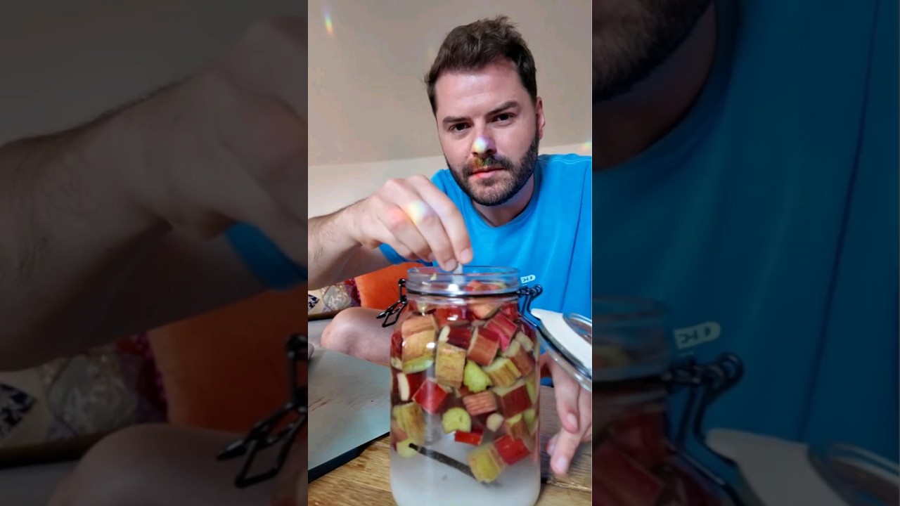 Let's make Rhubarb Infused Vodka 🍸 #shorts