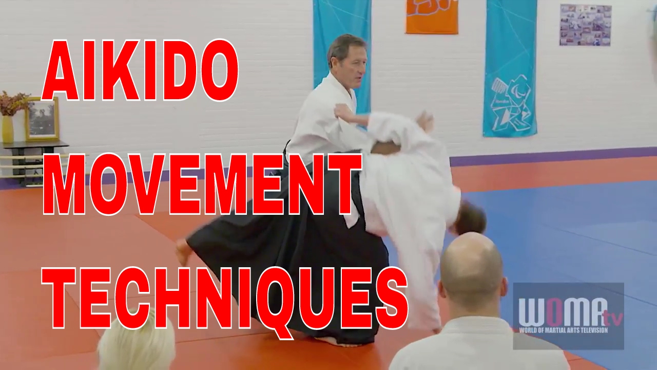 AIKIDO Movement Techniques Christian Tissier pt7