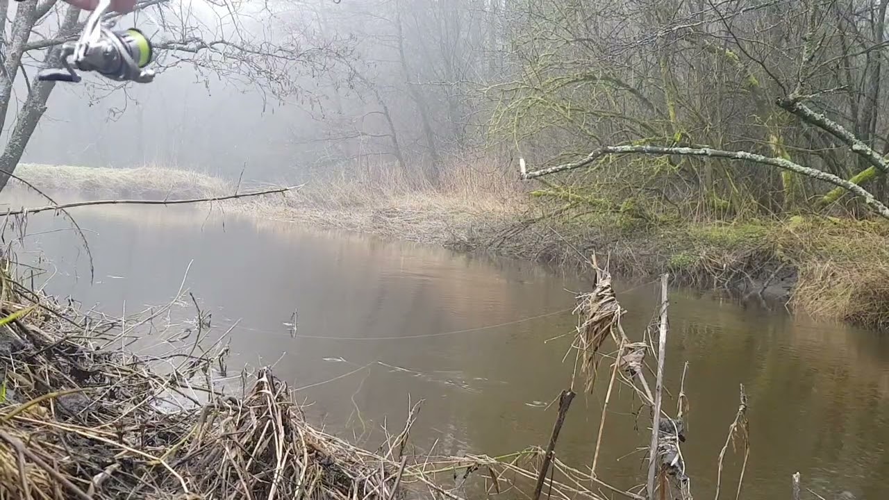 Pstrągi 2024–Pierwsza ryba