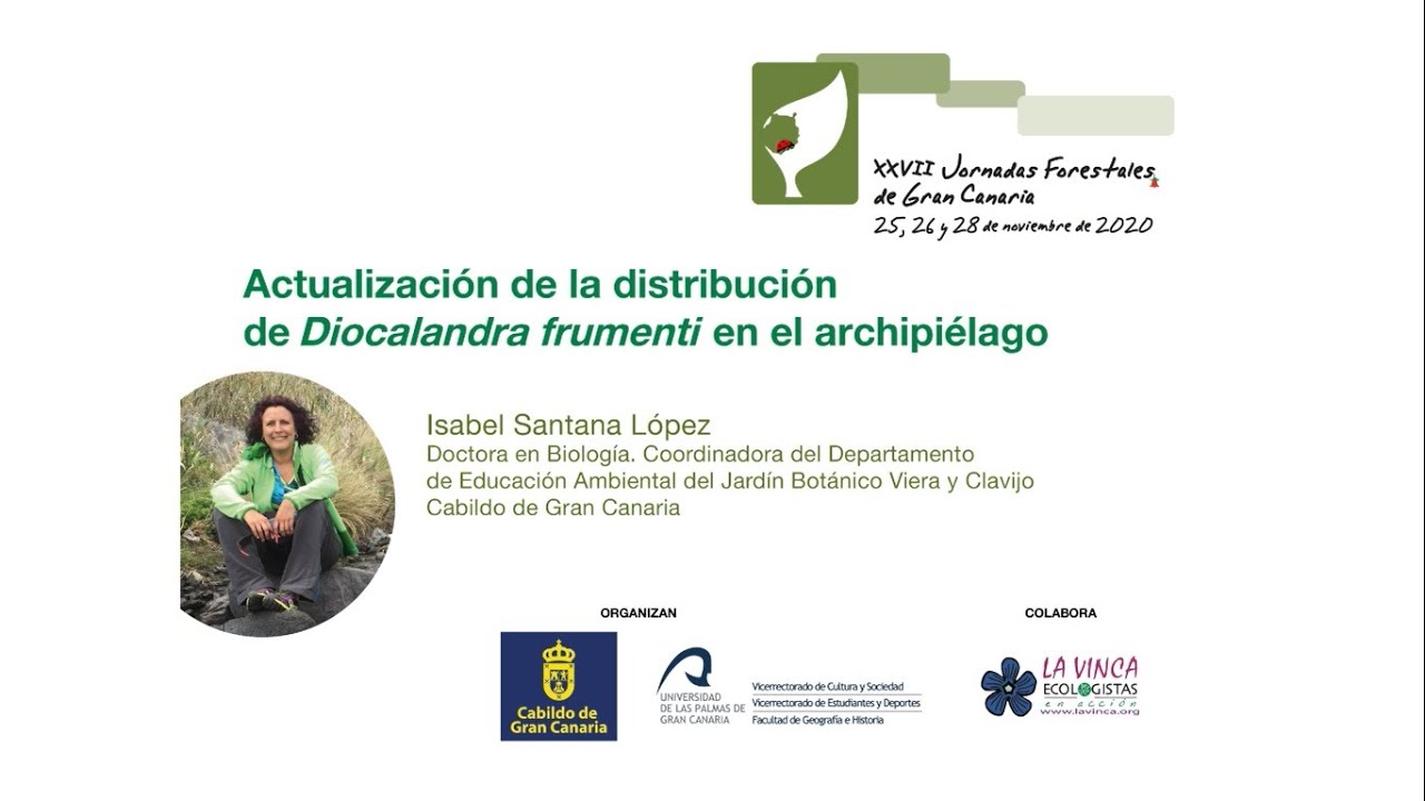 Isabel Santana López  Actualización distribución Diocalandra frumenti en el archipiélago canario