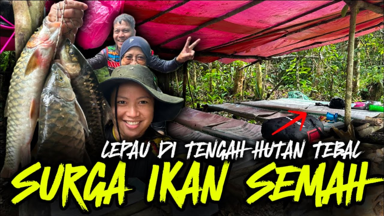 (Part 2) RUPANYA SINI LUBUK IKAN SEMAH / MASHER !! SURGA IKAN KAYANGAN | ULU BARAM