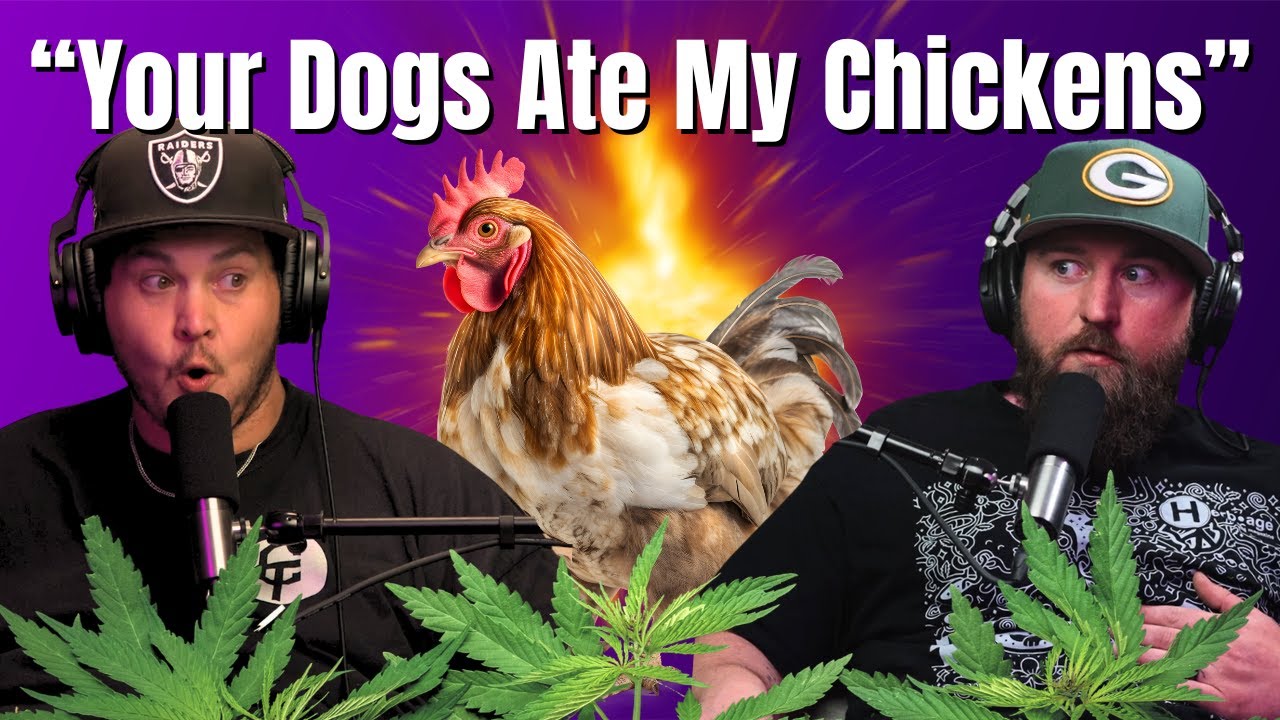 Inside the 2026 OMMA Public Comment | The Controlled Burn