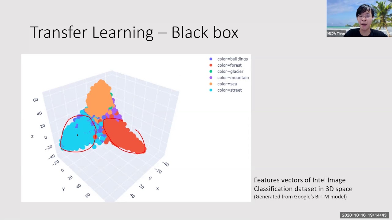 Introduction to Transfer Learning