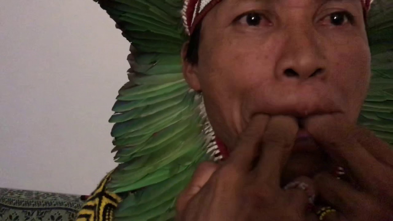 Txana Kixtin Huni Kuin sons da floresta