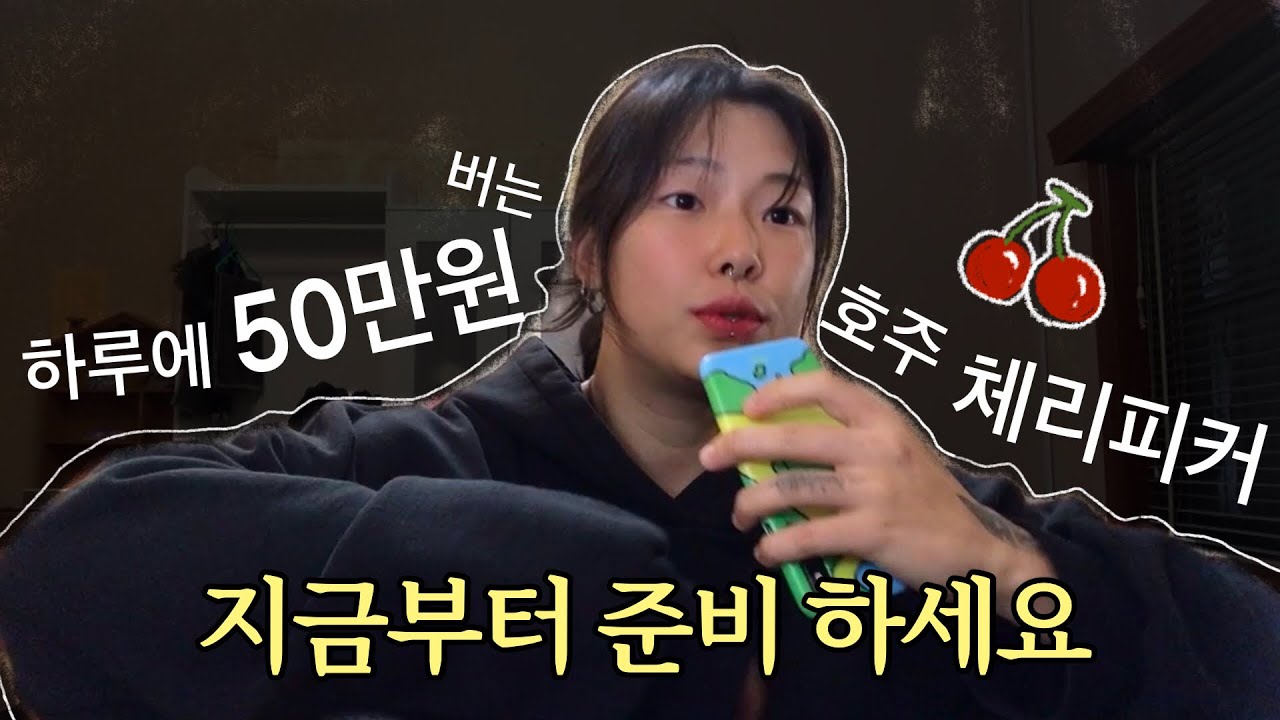 🇦🇺 [호주워홀] 체리피킹에 대한 모든 것! (아무도 알려주지 않는 꿀팁들 ft. 페이슬립,직컨꿀팁,농장종류) in 타즈매니아