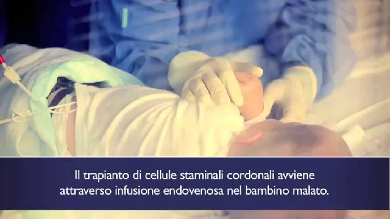 Come avviene un trapianto di cellule staminali cordonali