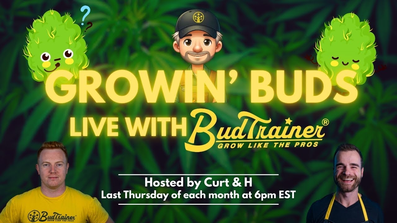 Growin' Buds with BudTrainer