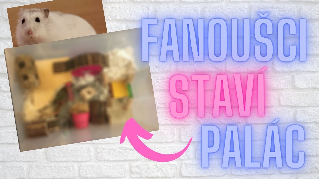 FANOUŠCI STAVÍ BOHOUŠŮV PALÁC | + soutěž na Instagramu
