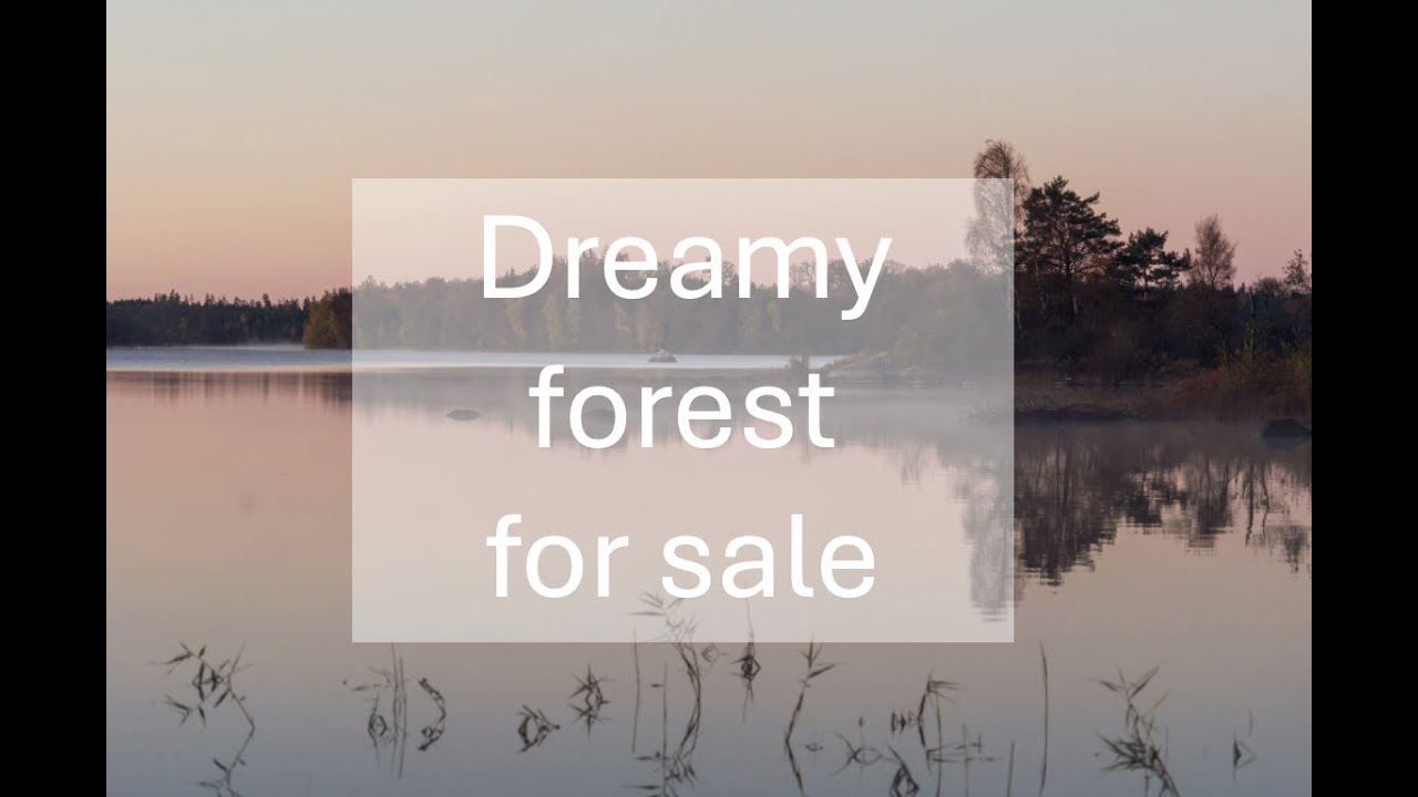 Dreamy forest property in Sweden for sale