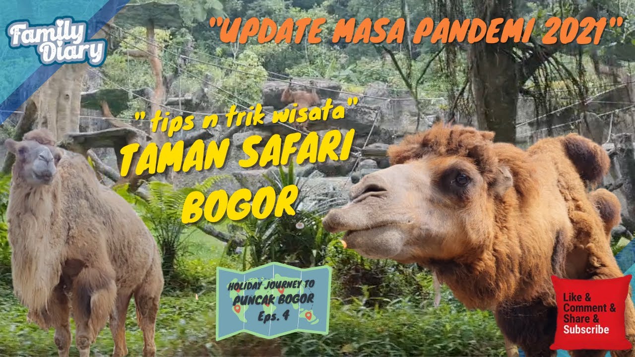 (UPDATE INFO) Tips & Trik Liburan ke Taman Safari Bogor |  Lengkap dengan info Atraksi