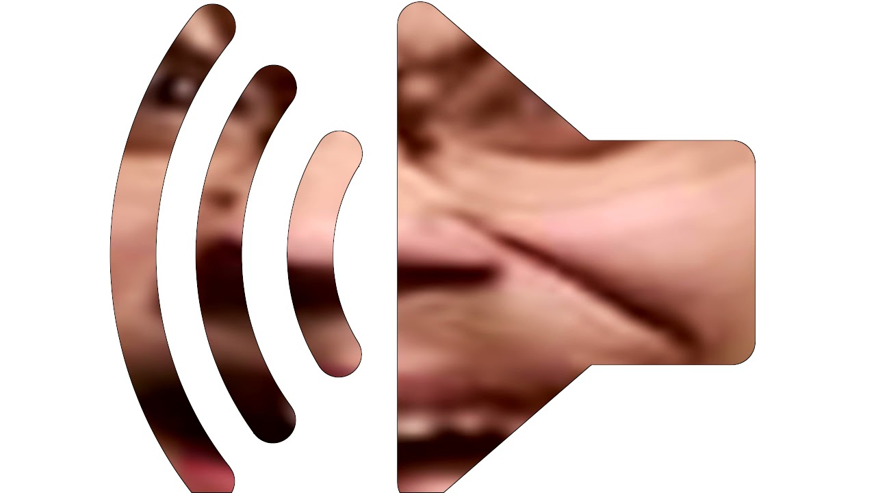 dojce shini - demonzz1 FX