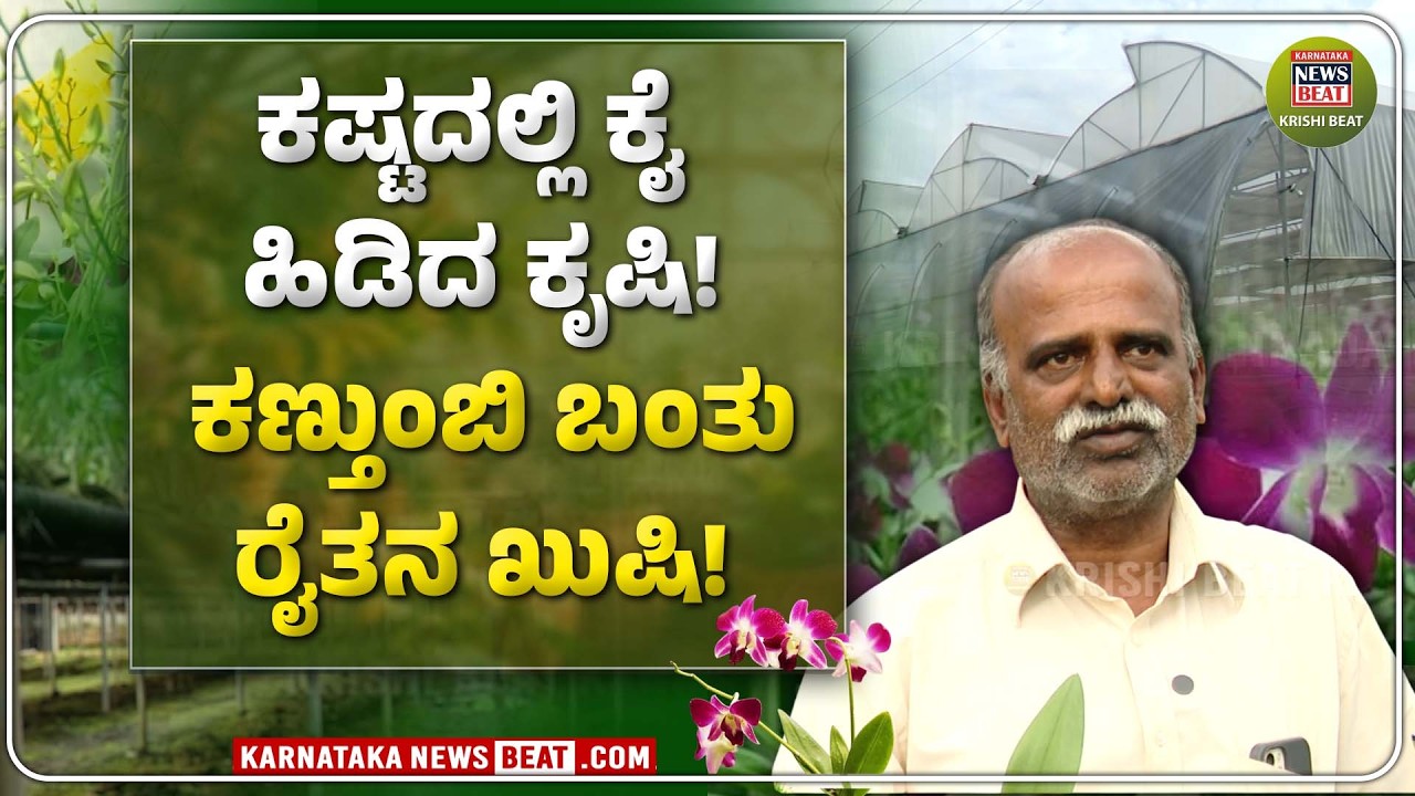 OrchidFarm | ಐಷಾರಾಮಿ ಬದುಕಿಗೆ ಆರ್ಕಿಡ್ ಹಾದಿ! | KNB