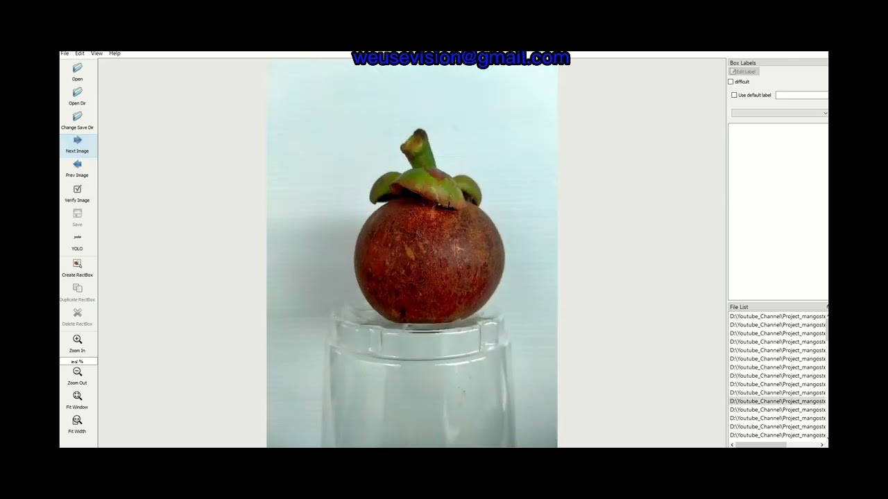 Labeling Yolov5 : mangos teen quality sorting step-by-step