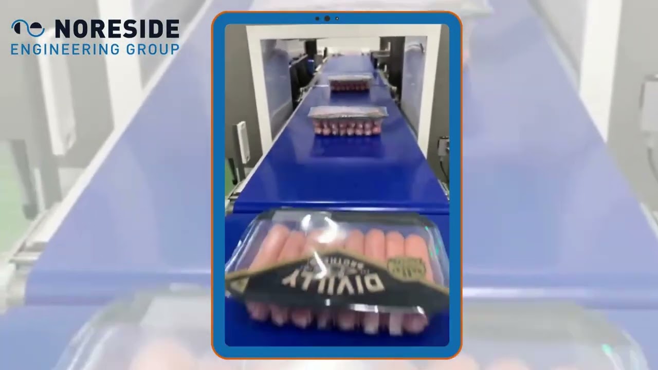 Vacuum Packaging Production line by Noreside Engineering