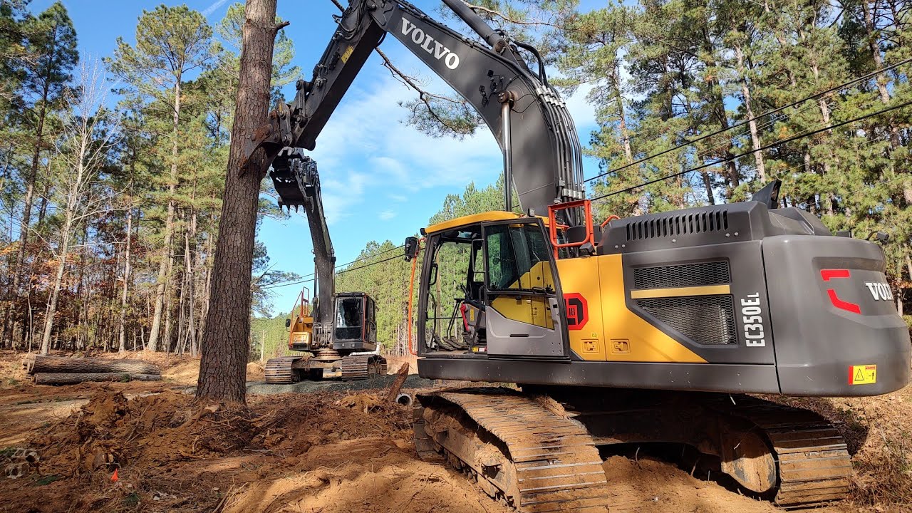 This One Was Tricky!  Big Tree Clearing Beside The Road