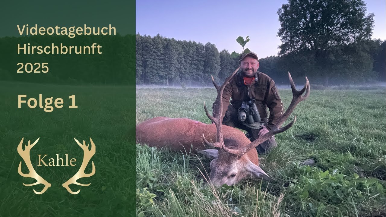Hirsch auf der ersten Pirsch erlegt! Hirschbrunft in Pommern/ Polen | Tag 1