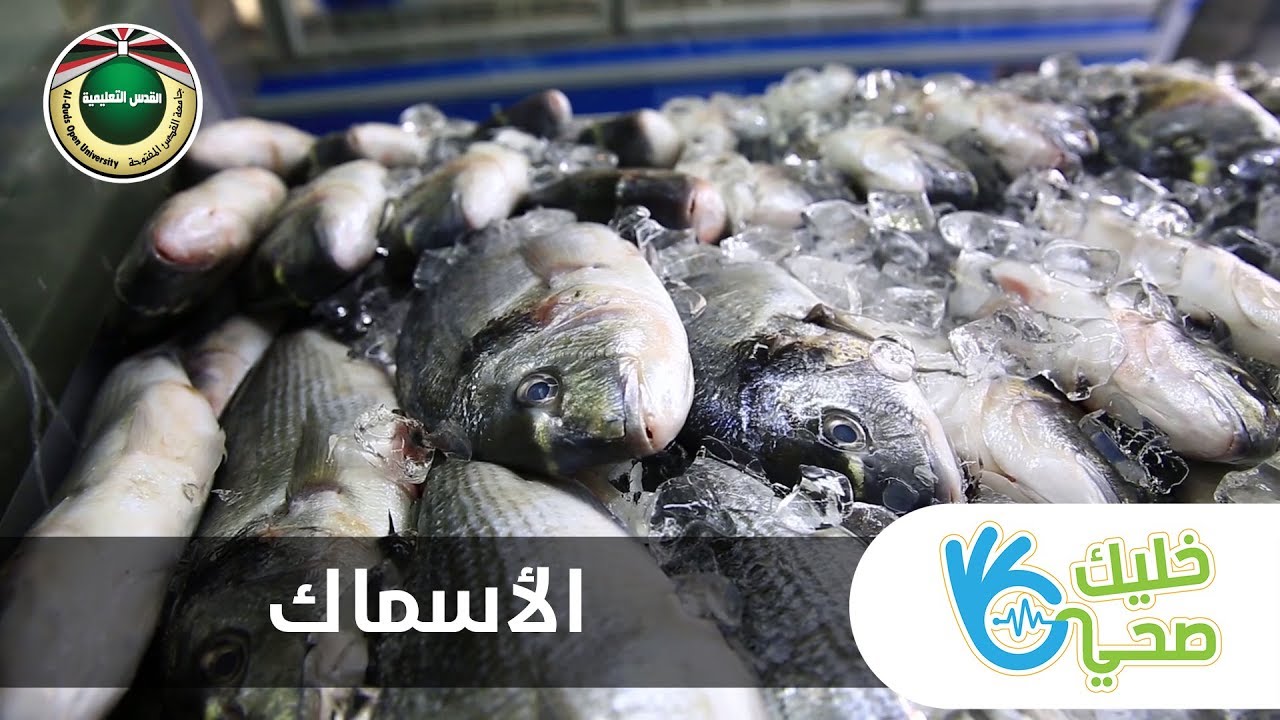 الأسماك| خليك صحي 2019