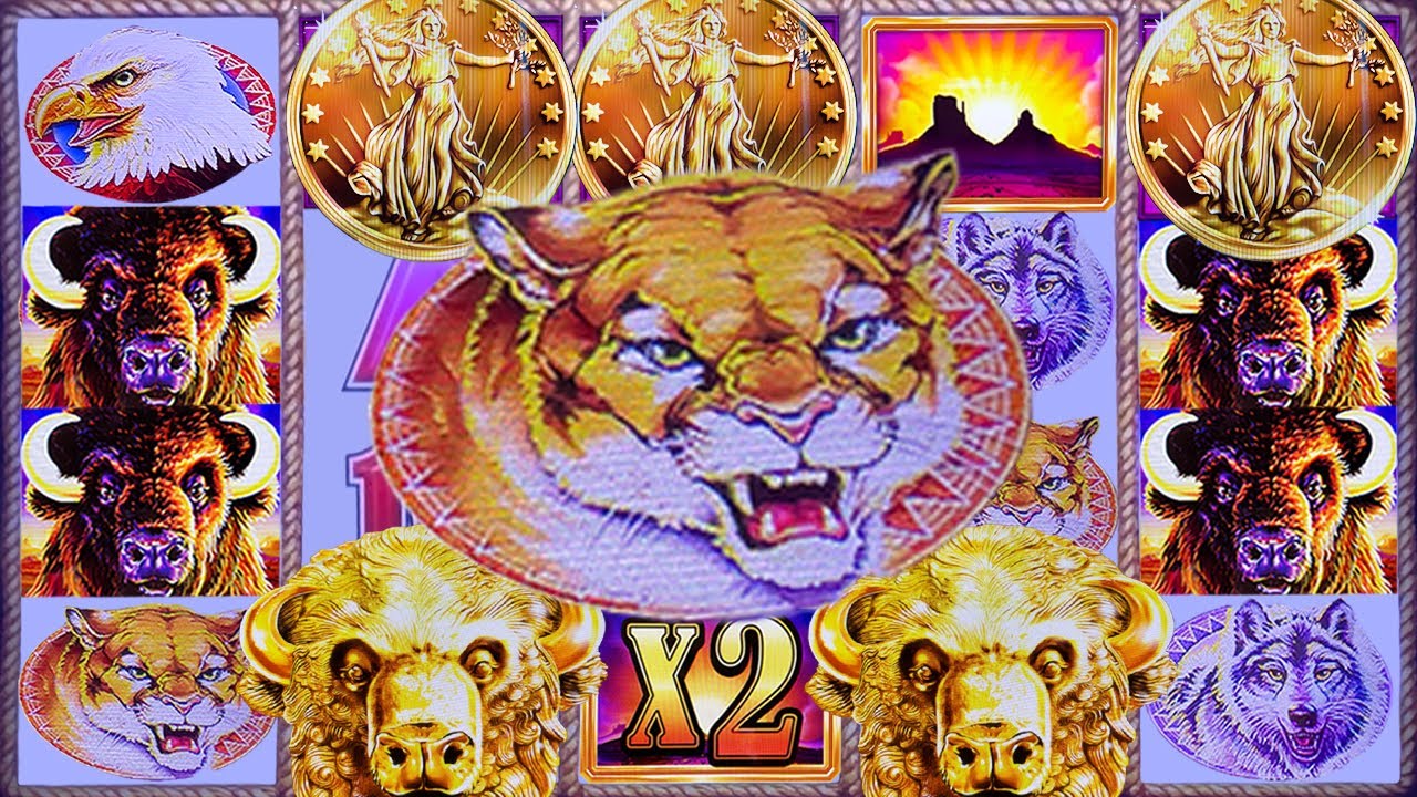 COUGARS Can't Stop The COINS