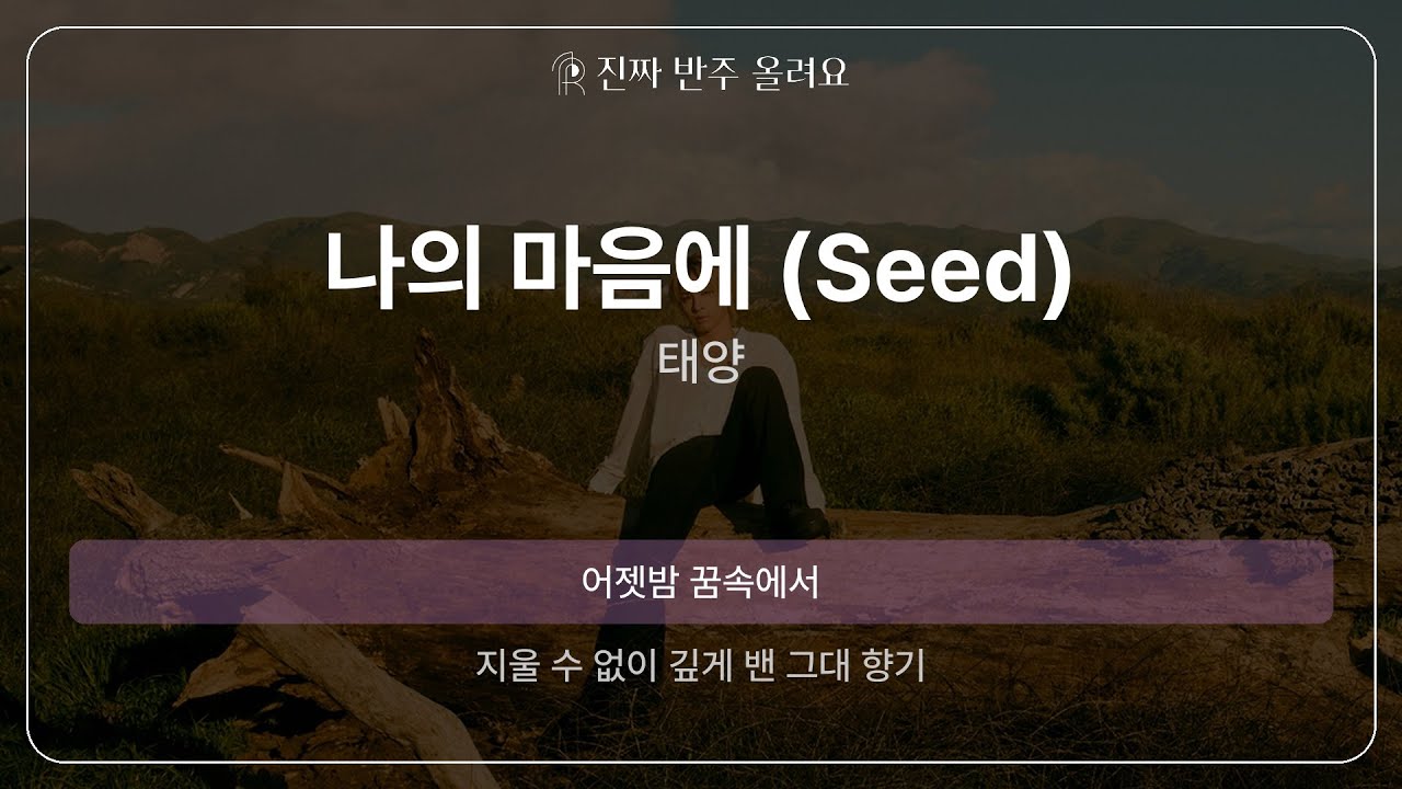 나의 마음에 (Seed) - 태양 [원곡 MR][멜로디 제거 ver]