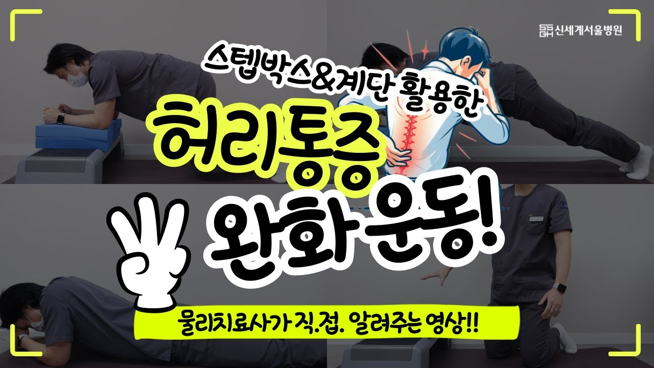 허리디스크 및 허리통증 완화 운동 3가지!
