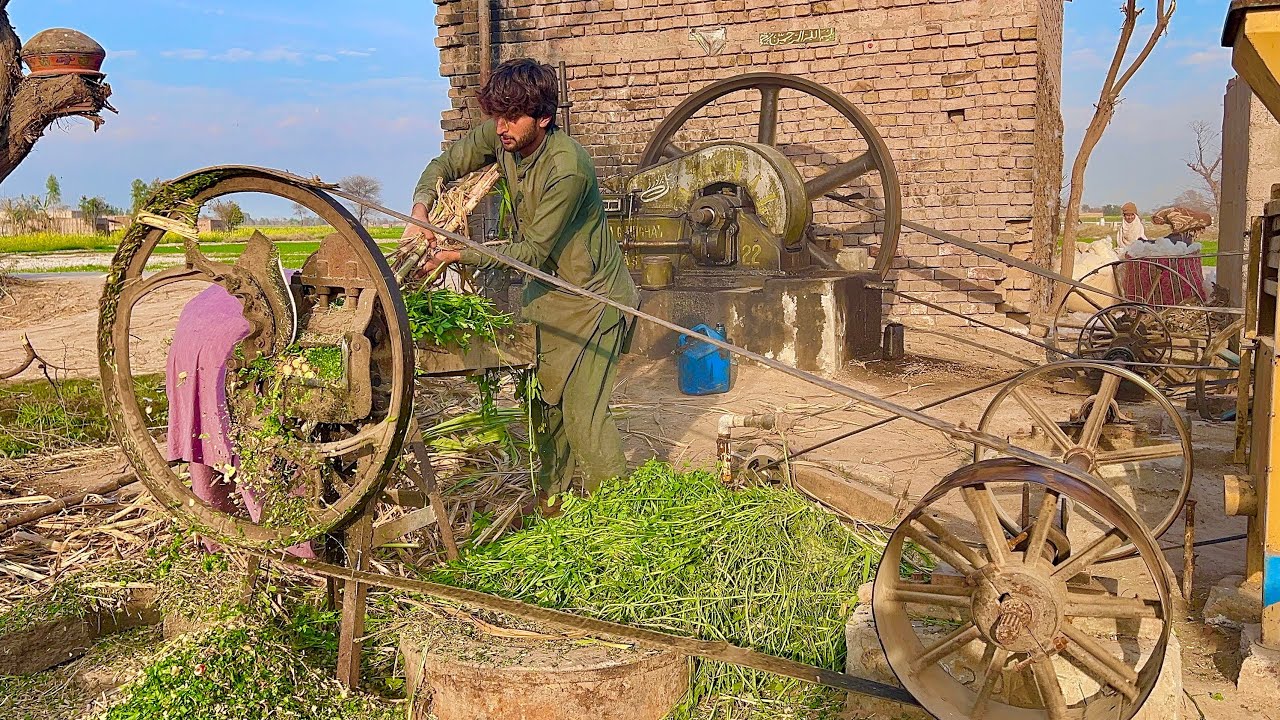 Next-Level Trick! Old Diesel Engine Cold Start → Fodder Cutting Begins
