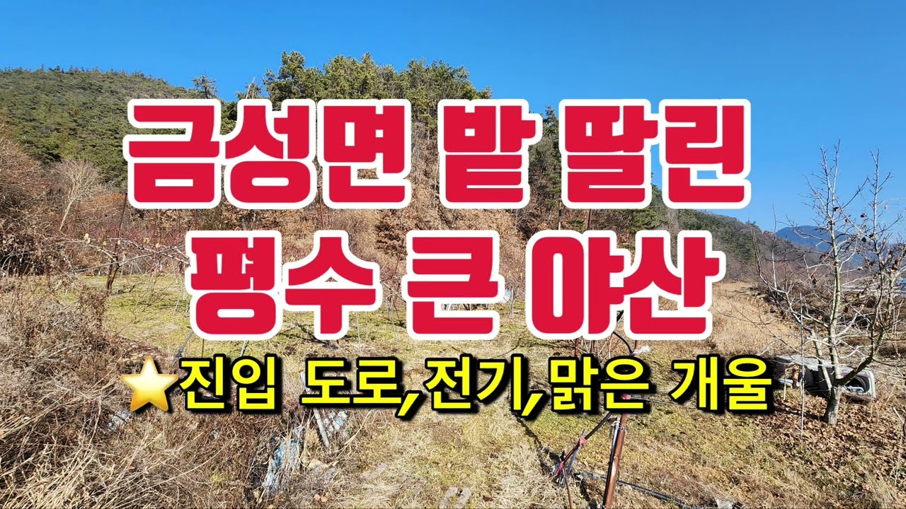 142번👩🏻‍🌾금성면 밭 딸린 평수 큰 야산 #의성토지매매 #의성토지 #의성땅매물 #의성땅 #의성땅매매 #의성군 #의성싼땅 #의성주말농장 #의성주말농장지 #의성부동산