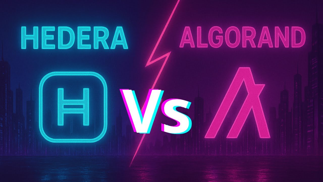 Hedera vs Algorand ⚡💥 The Hidden War for Control of Digital Identity